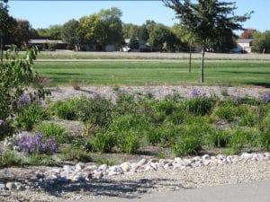 Meadowbrook Church rain garden Oct 2010